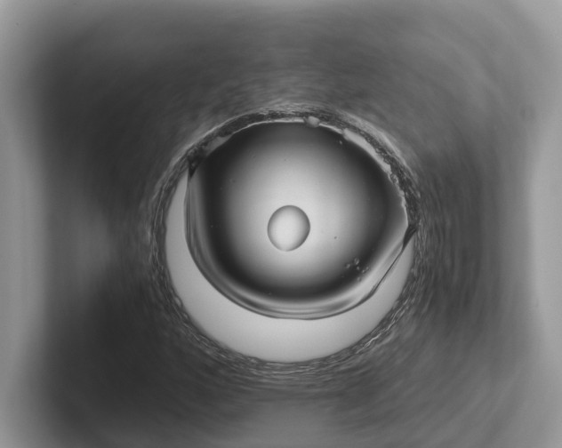 X0000101431160200807211144