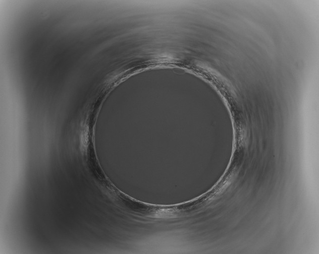 X0000101431161200807211144