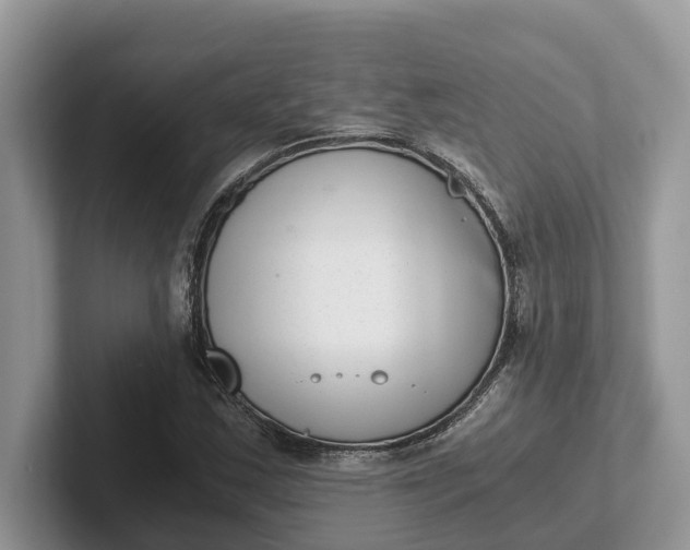 X0000101431163200807211144