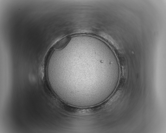 X0000101431165200807211144