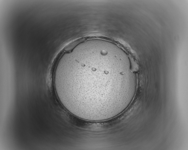 X0000101431167200807211144