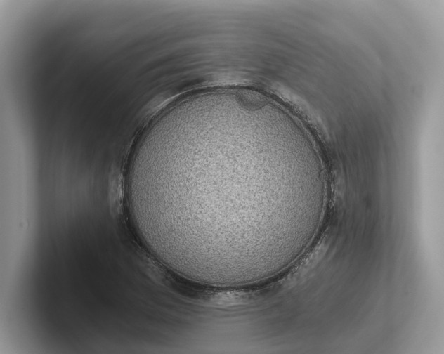 X0000101431169200807211144