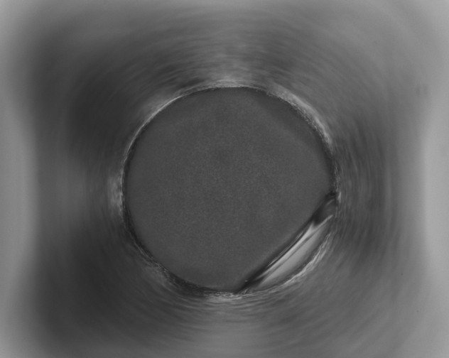 X0000101431170200807211144