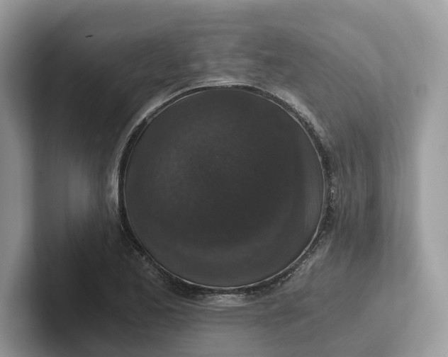 X0000101431173200807211144