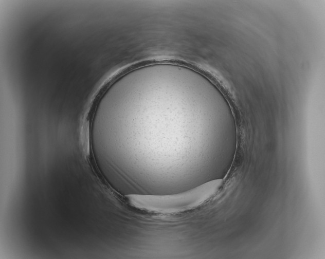 X0000101431175200807211144