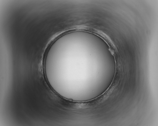 X0000101431176200807211144