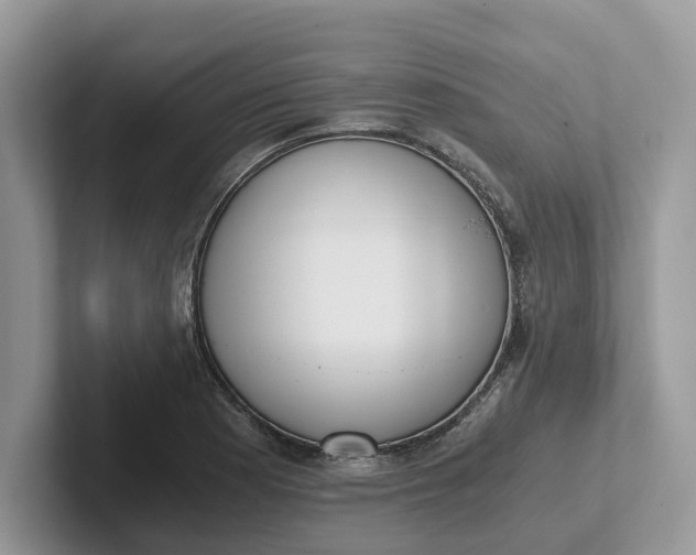 X0000101431177200807211144