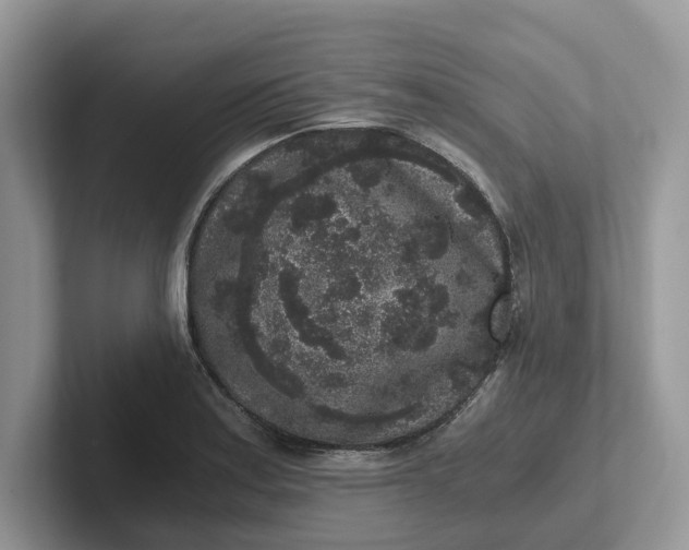 X0000101431179200807211144