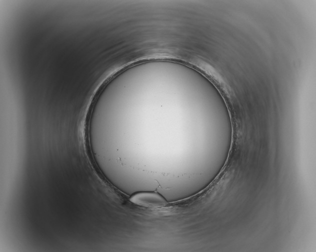 X0000101431181200807211144