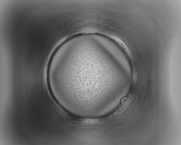 X0000101431183200807211144