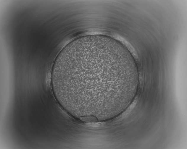 X0000101431185200807211143