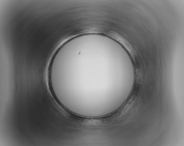 X0000101431187200807211143