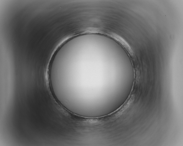 X0000101431190200807211143