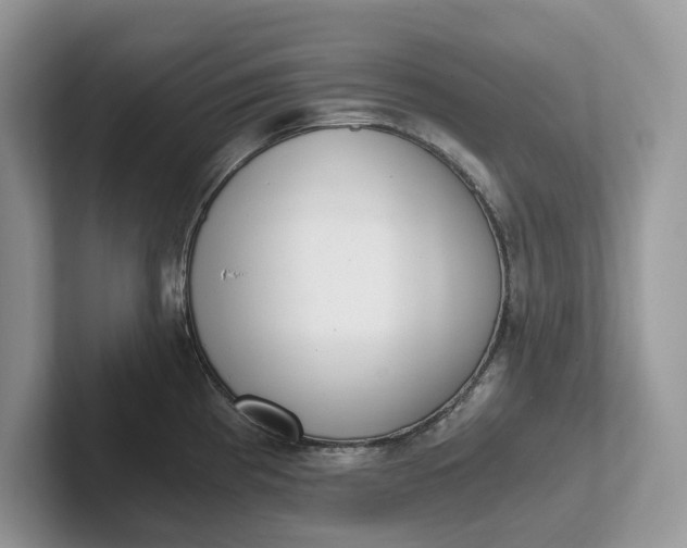 X0000101431193200807211143