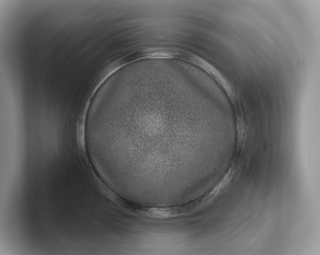 X0000101431194200807211143