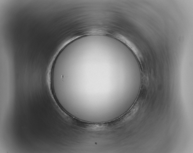 X0000101431195200807211143