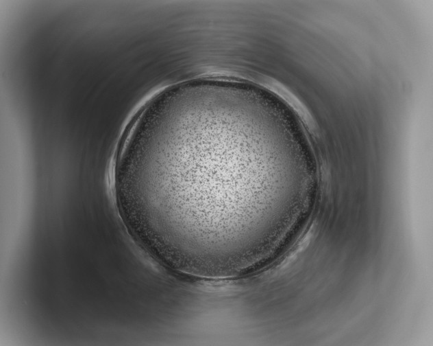 X0000101431198200807211143