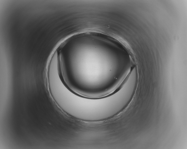 X0000101431200200807211143