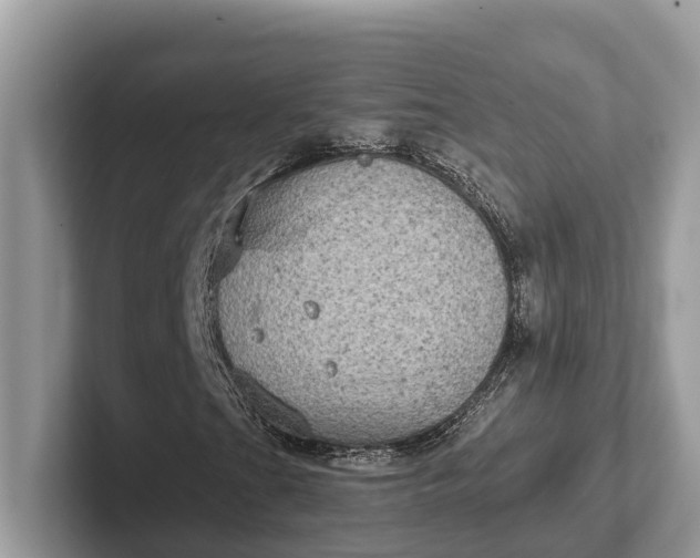 X0000101431201200807211143