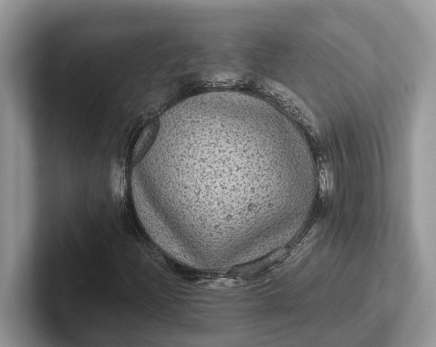 X0000101431204200807211143