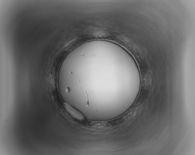 X0000101431205200807211143