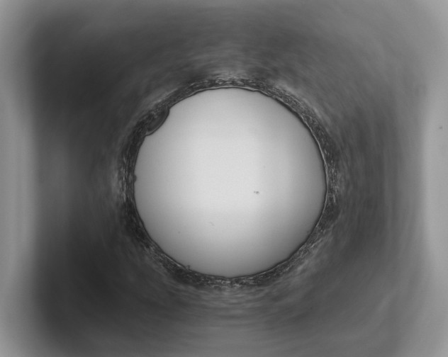 X0000101431207200807211143