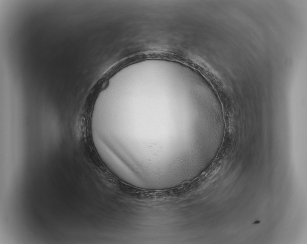 X0000101431208200807211143