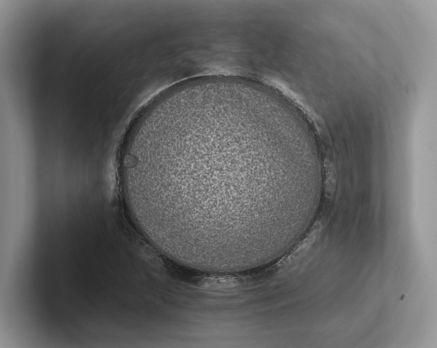 X0000101431215200807211143