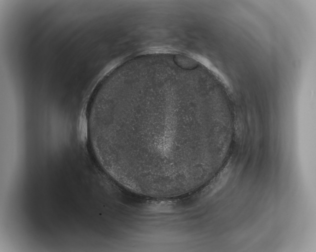 X0000101431221200807211143