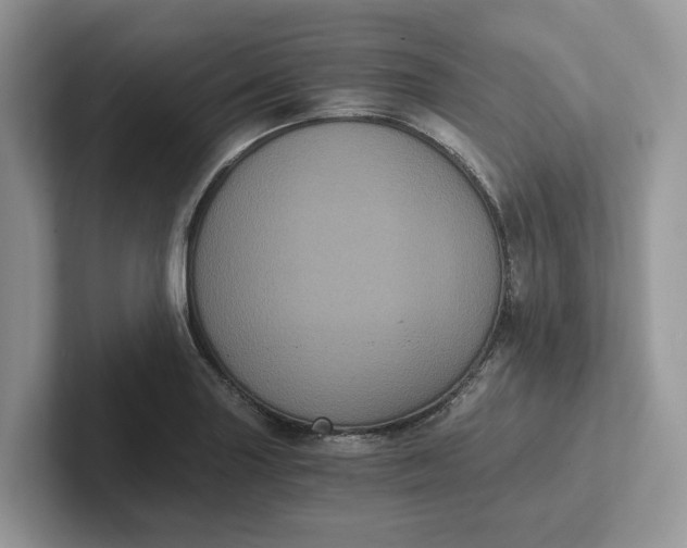 X0000101431227200807211143