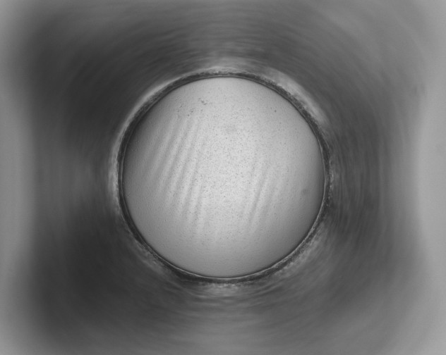 X0000101431232200807211143