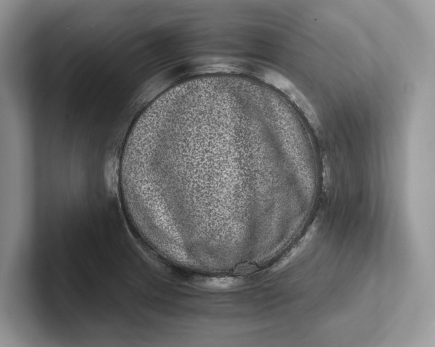 X0000101431233200807211143