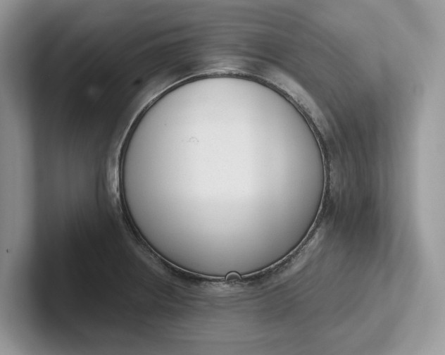 X0000101431234200807211143