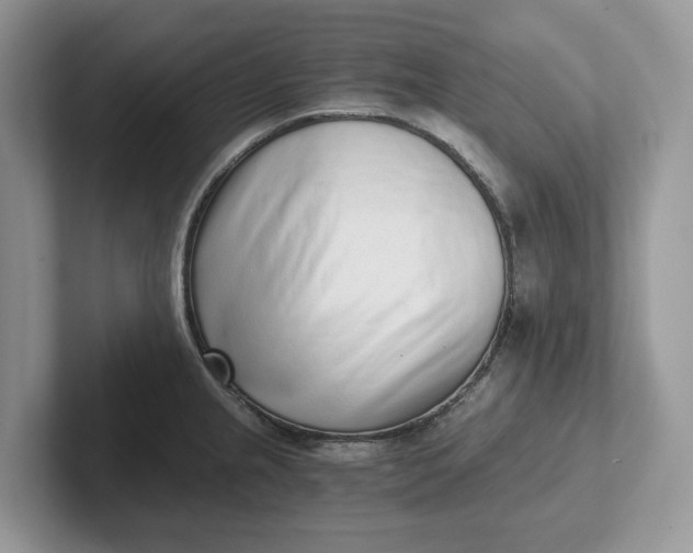 X0000101431237200807211143