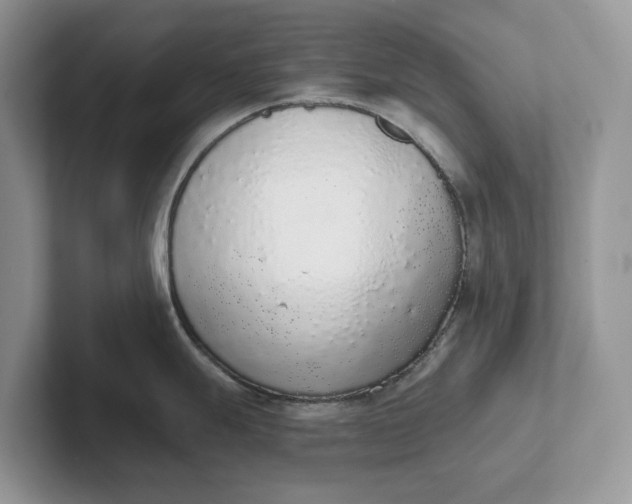 X0000101431247200807211143