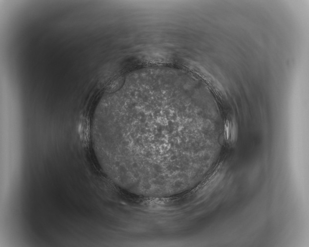 X0000101431251200807211143