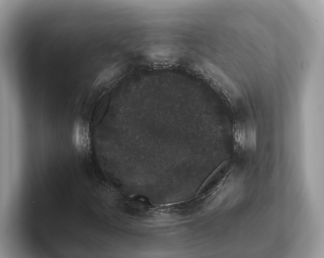 X0000101431252200807211143