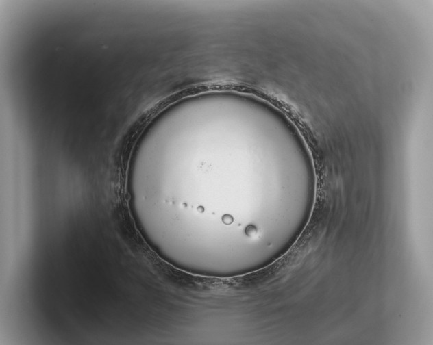 X0000101431255200807211143