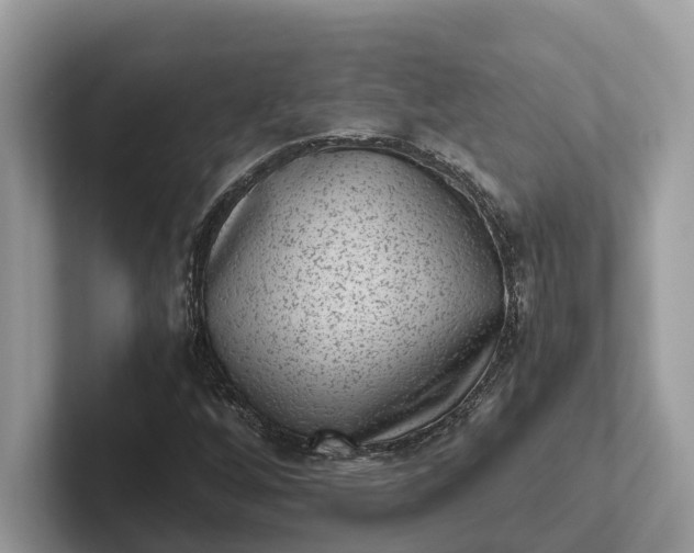 X0000101431256200807211143