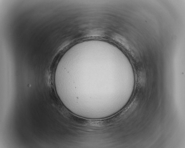 X0000101431258200807211143