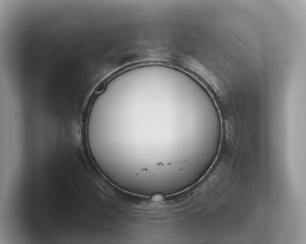 X0000101431260200807211142