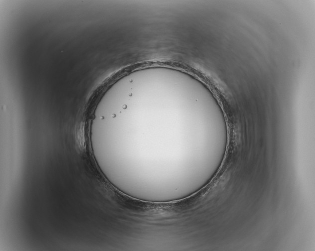 X0000101431262200807211142