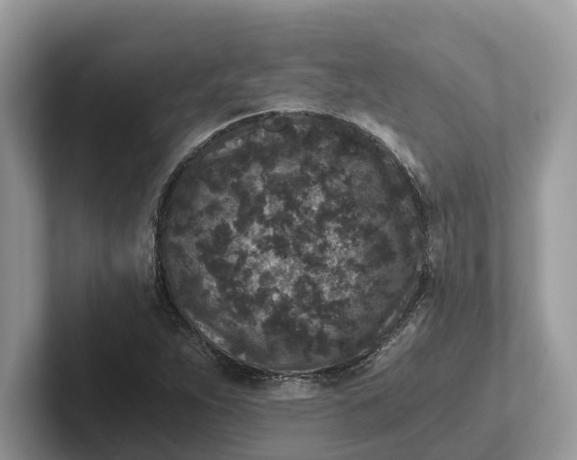 X0000101431263200807211142