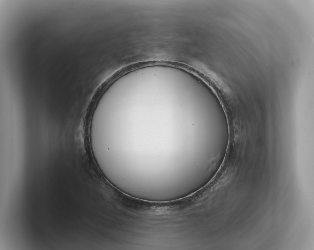 X0000101431264200807211142