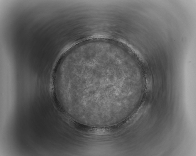 X0000101431266200807211142