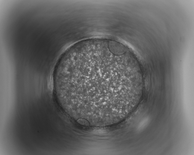 X0000101431267200807211142