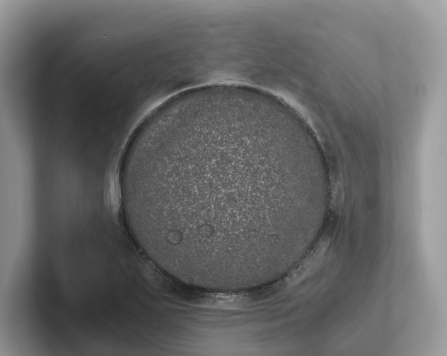 X0000101431271200807211142