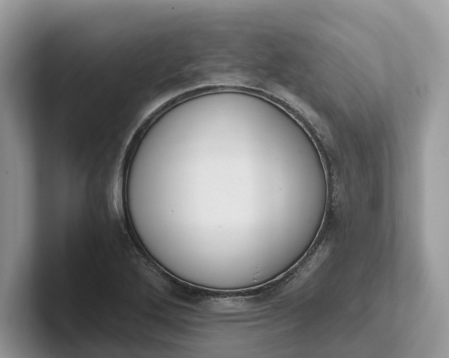 X0000101431272200807211142