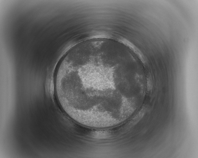 X0000101431274200807211142