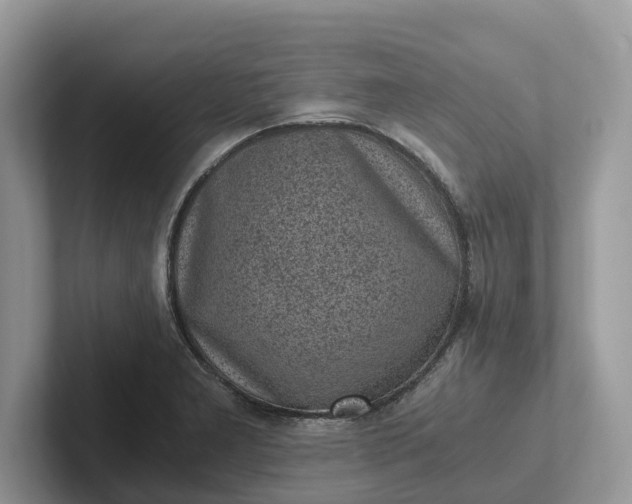 X0000101431277200807211142